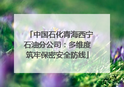 中国石化青海西宁石油分公司：多维度筑牢保密安全防线