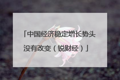 中国经济稳定增长势头没有改变（锐财经）