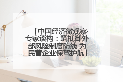 中国经济微观察·专家谈构：筑抵御外部风险制度防线 为民营企业保驾护航