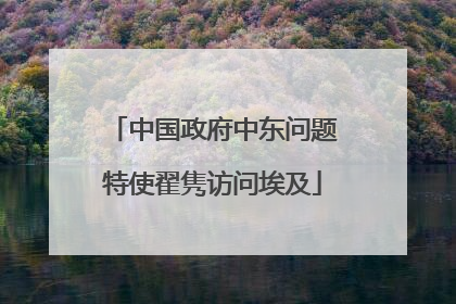 中国政府中东问题特使翟隽访问埃及
