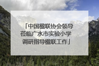 中国楹联协会领导莅临广水市实验小学调研指导楹联工作