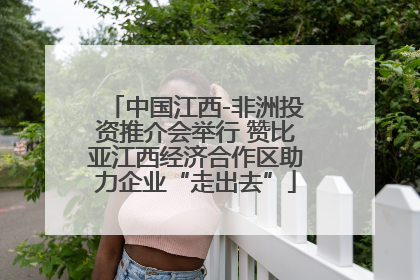 中国江西-非洲投资推介会举行 赞比亚江西经济合作区助力企业“走出去”