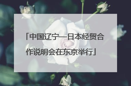 中国辽宁—日本经贸合作说明会在东京举行