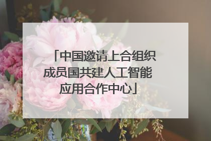 中国邀请上合组织成员国共建人工智能应用合作中心