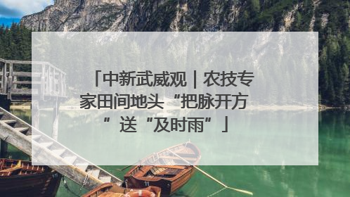 中新武威观｜农技专家田间地头“把脉开方”送“及时雨”