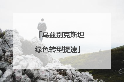乌兹别克斯坦绿色转型提速