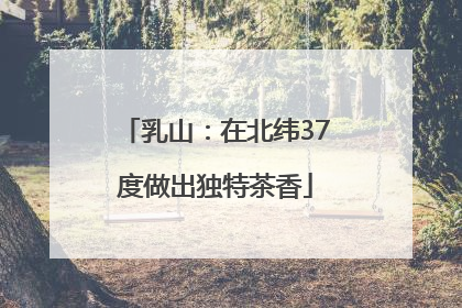 乳山：在北纬37度做出独特茶香