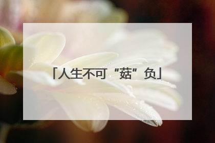 人生不可“菇”负