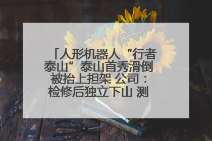 人形机器人“行者泰山”泰山首秀滑倒被抬上担架 公司：检修后独立下山 测试就是为暴露问题