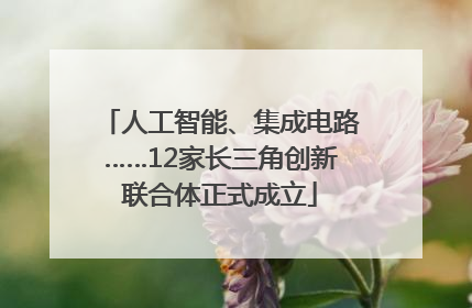 人工智能、集成电路……12家长三角创新联合体正式成立