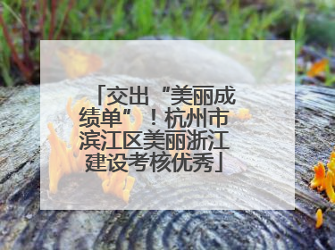 交出“美丽成绩单”！杭州市滨江区美丽浙江建设考核优秀
