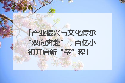 产业振兴与文化传承“双向奔赴”，百亿小镇开启新“筝”程