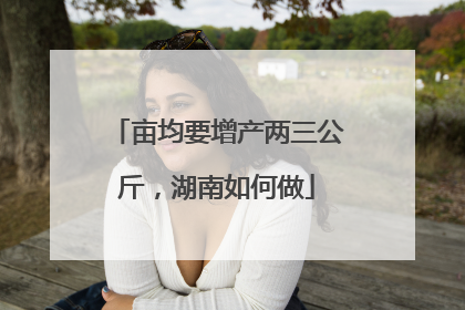 亩均要增产两三公斤，湖南如何做