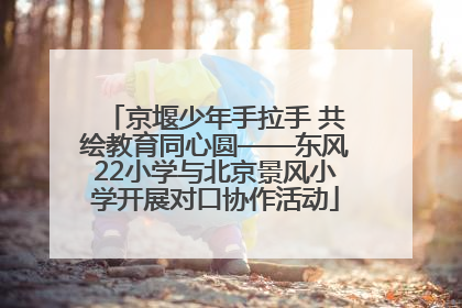 京堰少年手拉手 共绘教育同心圆——东风22小学与北京景风小学开展对口协作活动