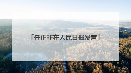 任正非在人民日报发声