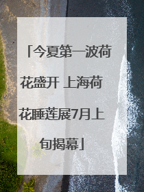 今夏第一波荷花盛开 上海荷花睡莲展7月上旬揭幕