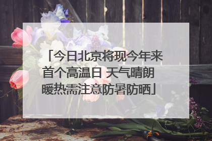 今日北京将现今年来首个高温日 天气晴朗暖热需注意防暑防晒