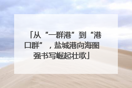 从“一群港”到“港口群”，盐城港向海图强书写崛起壮歌