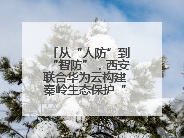 从“人防”到“智防”，西安联合华为云构建秦岭生态保护“数字屏障”
