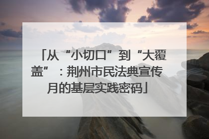 从“小切口”到“大覆盖”：荆州市民法典宣传月的基层实践密码