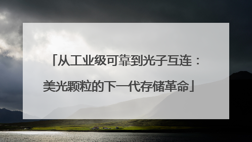 从工业级可靠到光子互连：美光颗粒的下一代存储革命