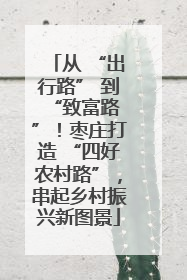 从 “出行路” 到 “致富路”！枣庄打造 “四好农村路”，串起乡村振兴新图景
