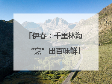 伊春：千里林海“烹”出百味鲜