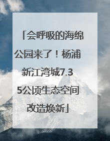 会呼吸的海绵公园来了！杨浦新江湾城7.35公顷生态空间改造焕新