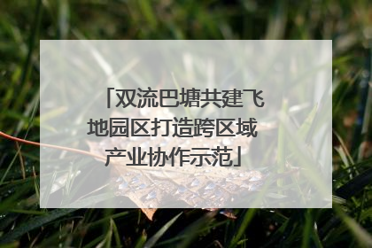 双流巴塘共建飞地园区打造跨区域产业协作示范