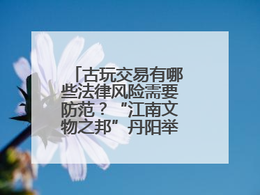 古玩交易有哪些法律风险需要防范？“江南文物之邦”丹阳举行专题讲座