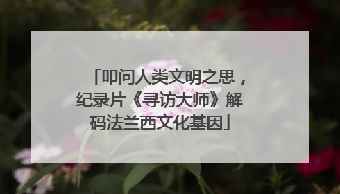 叩问人类文明之思，纪录片《寻访大师》解码法兰西文化基因