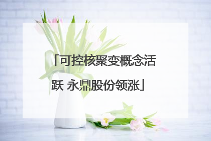 可控核聚变概念活跃 永鼎股份领涨