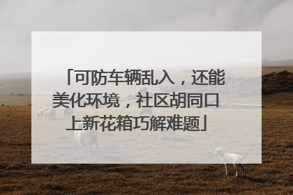 可防车辆乱入，还能美化环境，社区胡同口上新花箱巧解难题