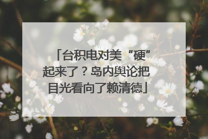 台积电对美“硬”起来了？岛内舆论把目光看向了赖清德