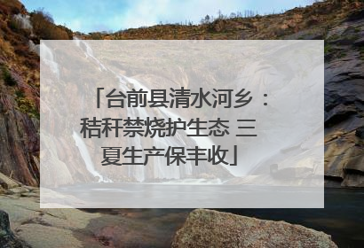 台前县清水河乡：秸秆禁烧护生态 三夏生产保丰收