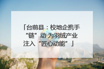 台前县：校地企携手“链”动 为羽绒产业注入“匠心动能”