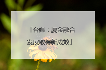 台媒：厦金融合发展取得新成效