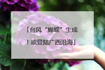 台风“蝴蝶”生成！或登陆广西沿海