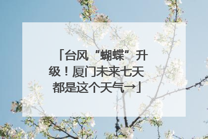 台风“蝴蝶”升级！厦门未来七天都是这个天气→