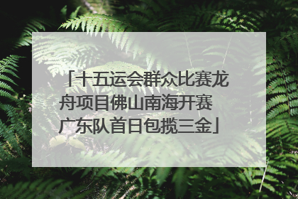 十五运会群众比赛龙舟项目佛山南海开赛 广东队首日包揽三金