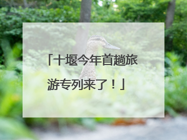 十堰今年首趟旅游专列来了！