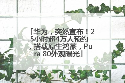 华为，突然宣布！2.5小时超4万人预约，搭载原生鸿蒙，Pura 80外观曝光