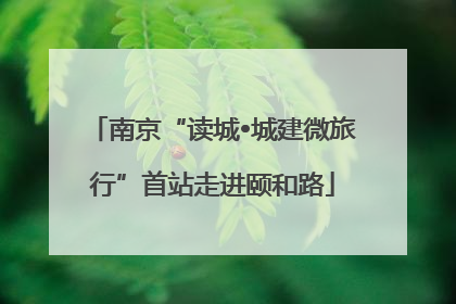 南京“读城•城建微旅行”首站走进颐和路
