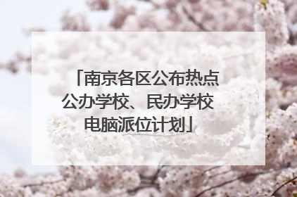 南京各区公布热点公办学校、民办学校电脑派位计划