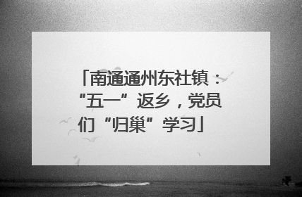 南通通州东社镇：“五一”返乡，党员们“归巢”学习