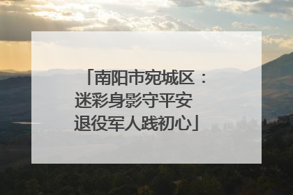 南阳市宛城区：迷彩身影守平安 退役军人践初心