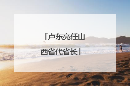 卢东亮任山西省代省长