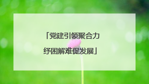 党建引领聚合力 纾困解难促发展