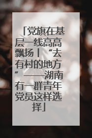 党旗在基层一线高高飘扬丨“去有村的地方”——湖南有一群青年党员这样选择