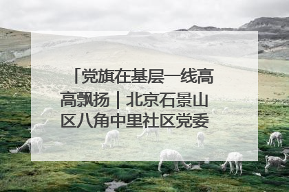党旗在基层一线高高飘扬｜北京石景山区八角中里社区党委：用脚步丈量民生